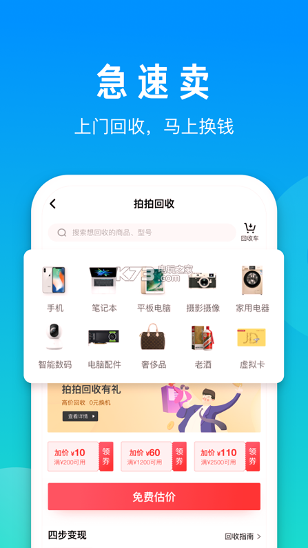 拍拍