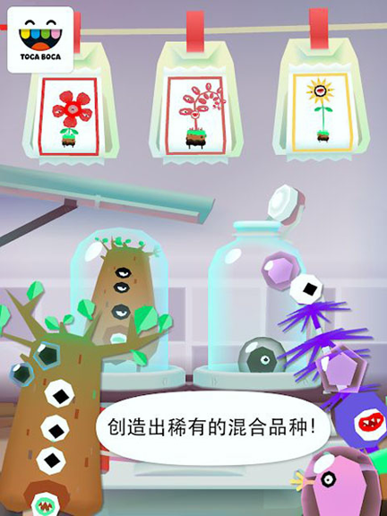 托卡实验室植物