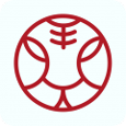 币安app苹果版