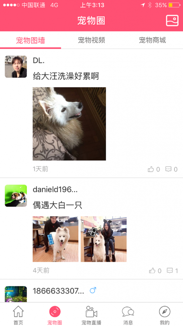寻窝