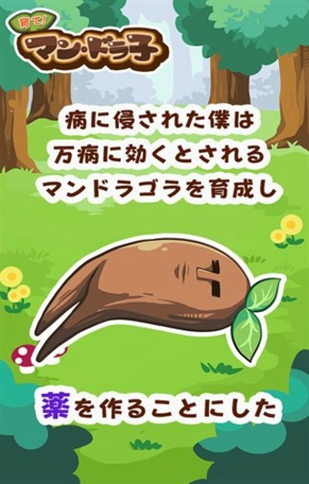 培育小小曼陀罗