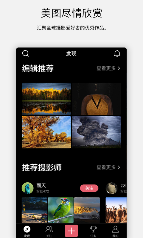 探图