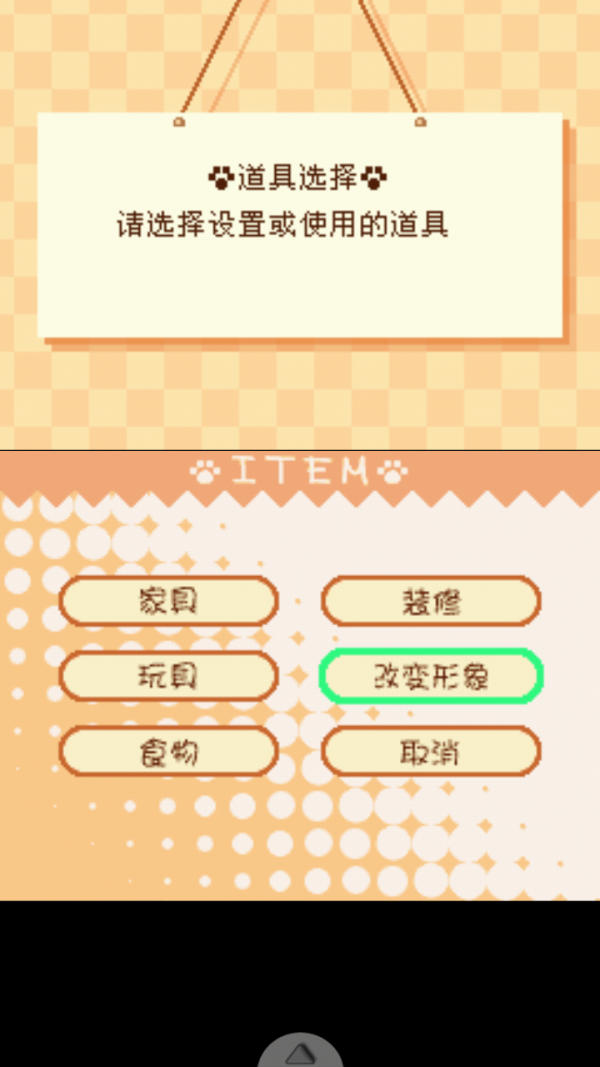熊姬和她的伙伴们