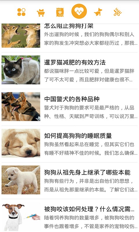 狗狗管家