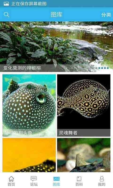 水族汇