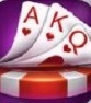 吉祥棋盘牌手机版安装2015