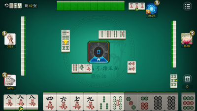 娱乐牌棋手机版