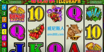 七月牌棋官方版