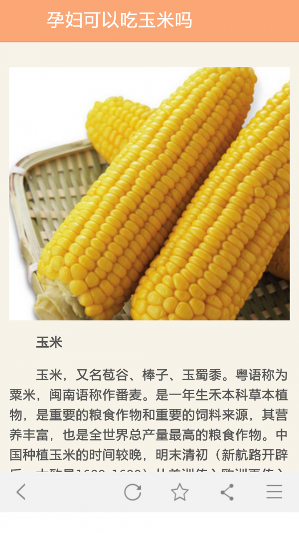 孕食孕妇怀孕饮食
