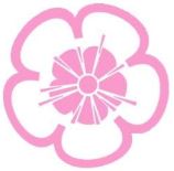 樱花动漫囧次元苹果