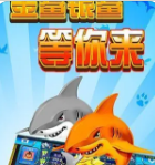 飞禽走兽单机