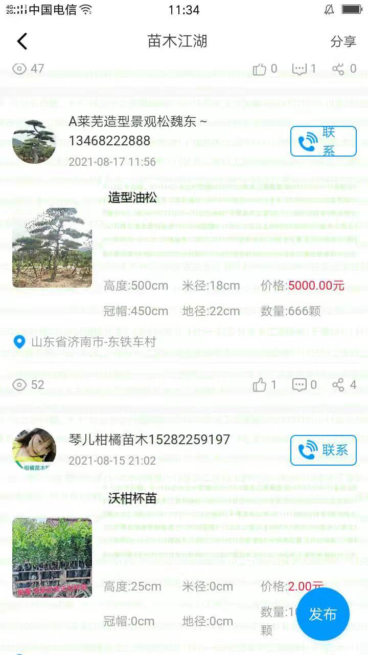 苗木江湖