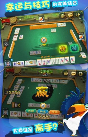 官方版飞禽走兽