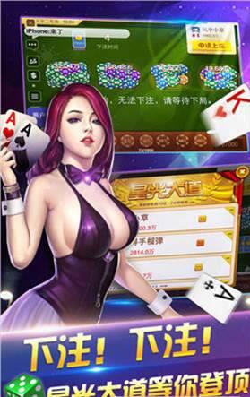 下个单机打麻将