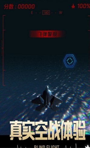 长空暗影