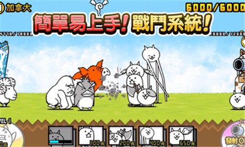 猫咪的大战争
