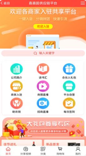 嘉嘉图