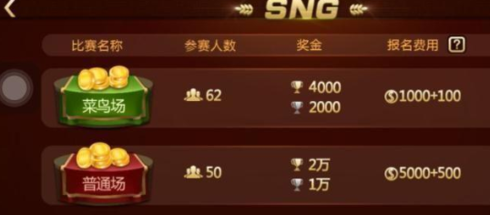 官方十三水