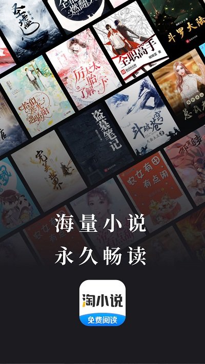 淘小说免激活版