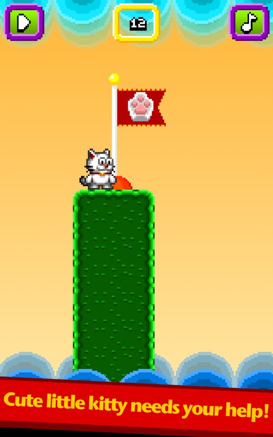 神经兮兮的猫