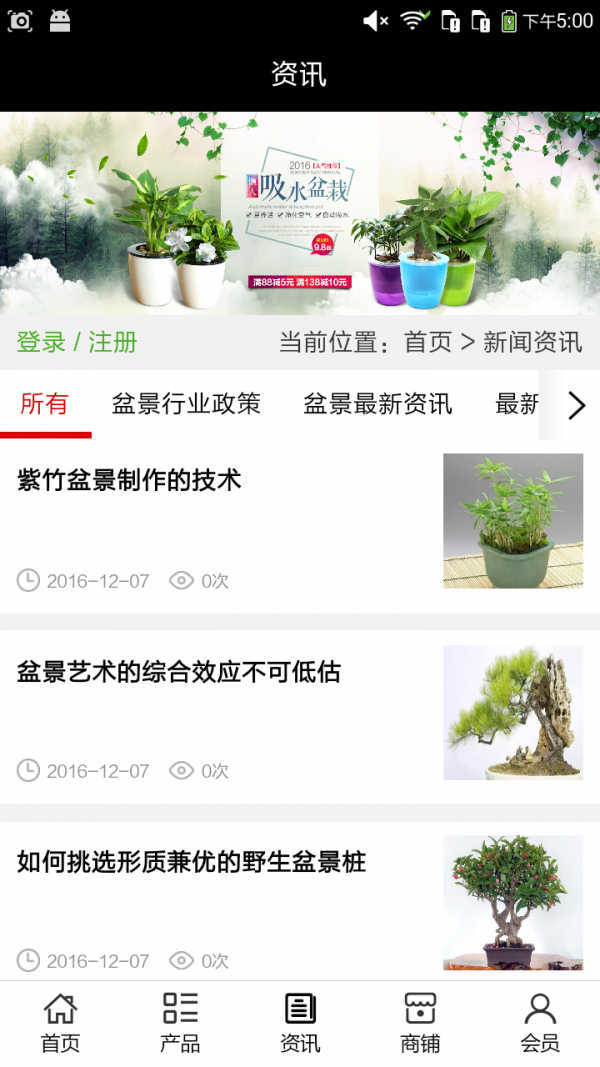 园林盆景