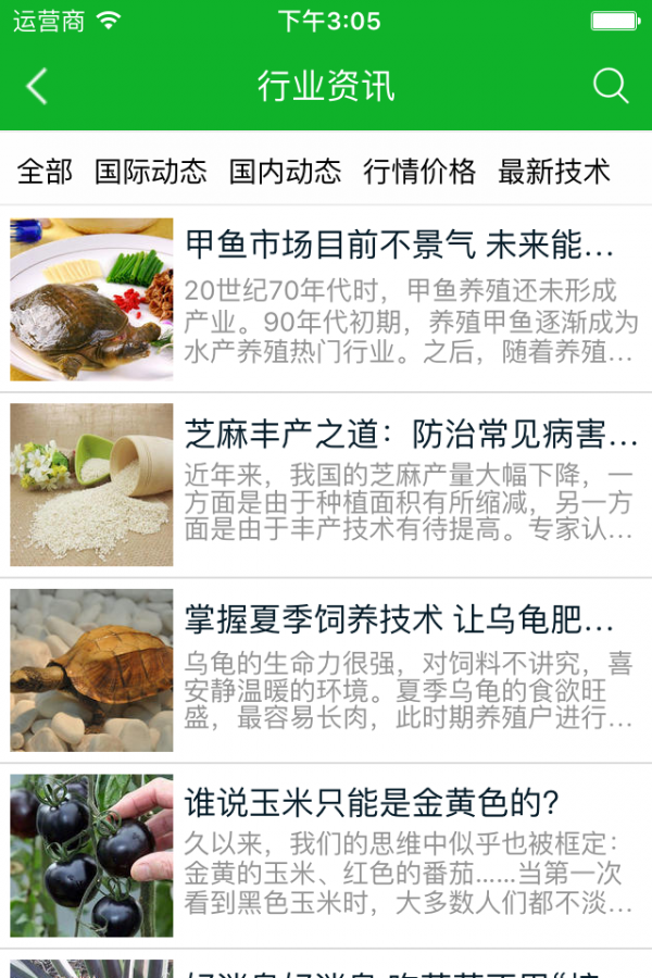 q农网