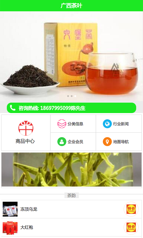 广西茶叶