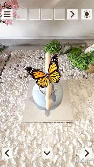 密室逃脱蝴蝶之谜