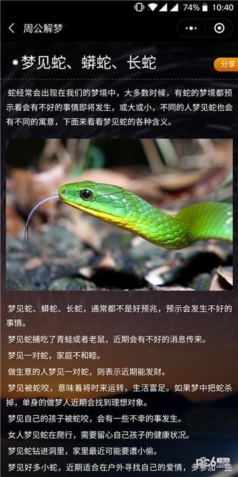 周公解梦分析