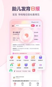 宝宝树