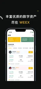 weex交易所