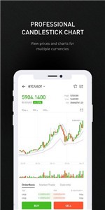 bitstamp交易所