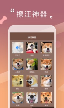 米族人狗交流器