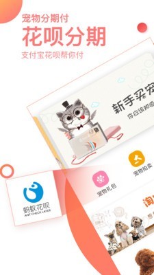 淘pet