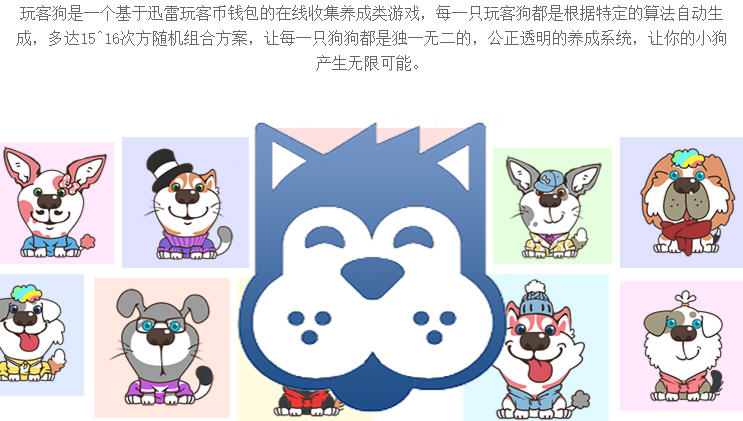 玩客狗