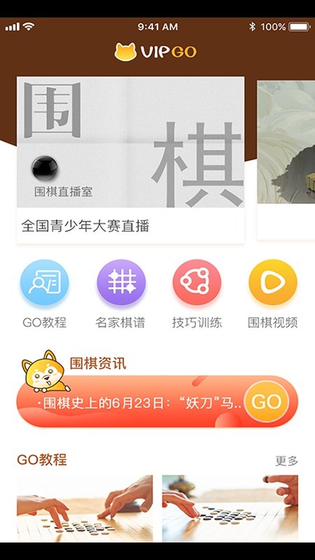 顽皮狗vipgo