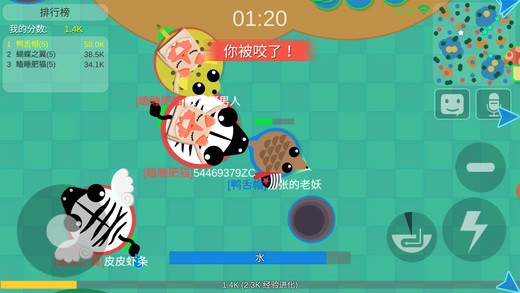 丛林大作战神秘动物版