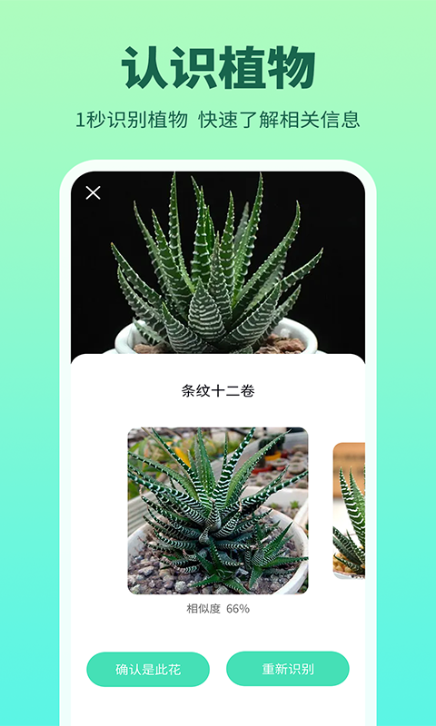 多花花