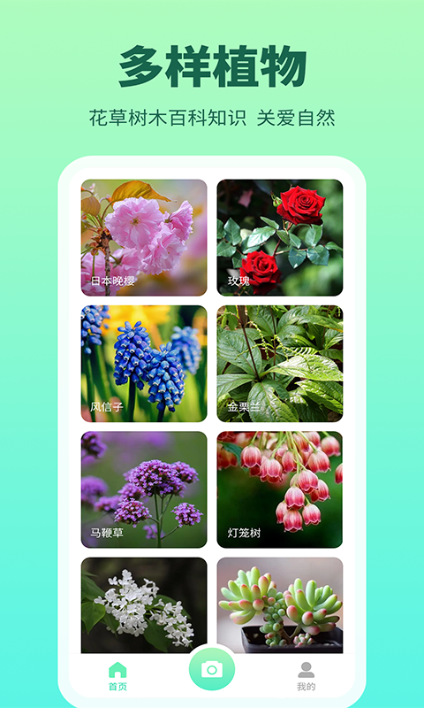 多花花