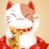 喵喵金币宝