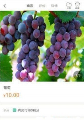 果悦