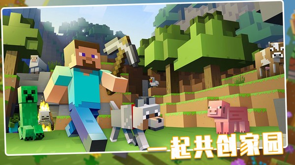 我的荒野世界