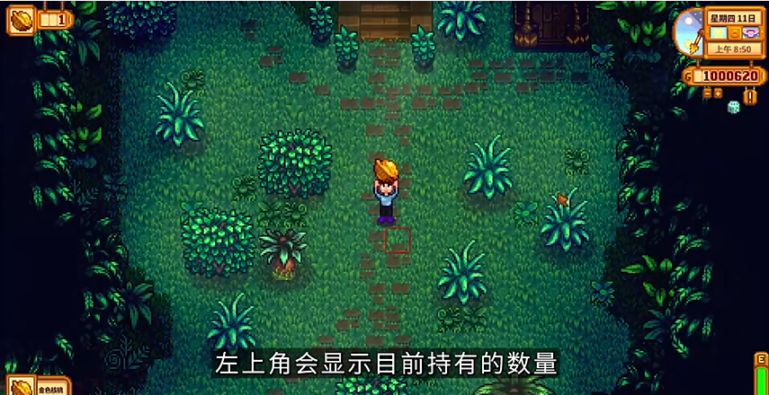 星露谷物语金色核桃怎么找 星露谷物语金色核桃怎么找