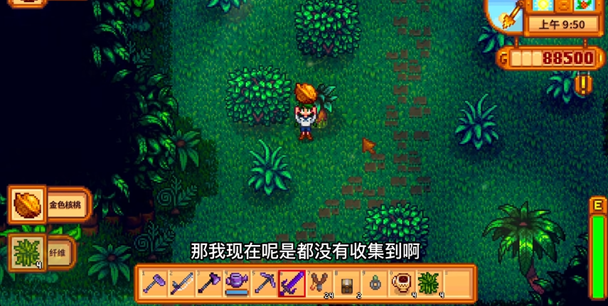 星露谷物语去姜岛带什么