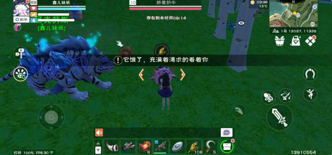 创造与魔法奇遇宠物有哪些