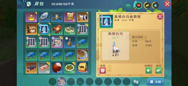 创造与魔法奇遇宠物有哪些