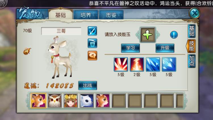 诛仙手游宠物怎样加点