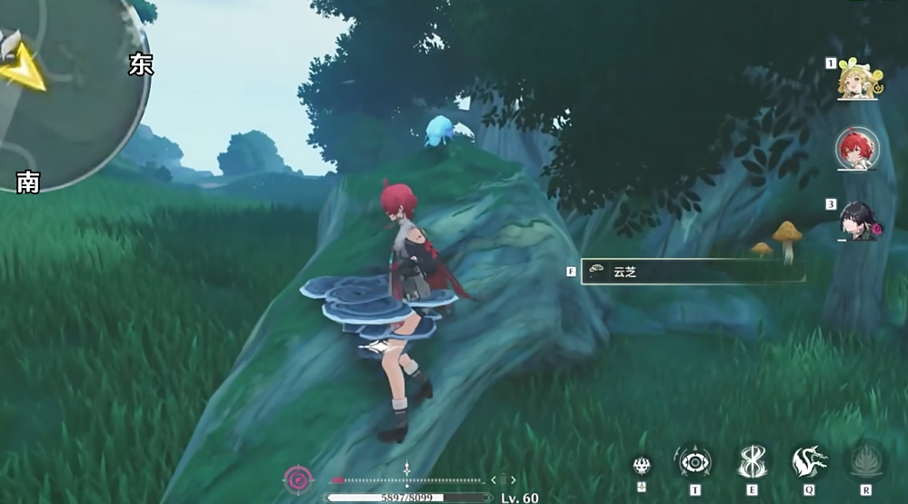 鸣潮灵芝哪里采购